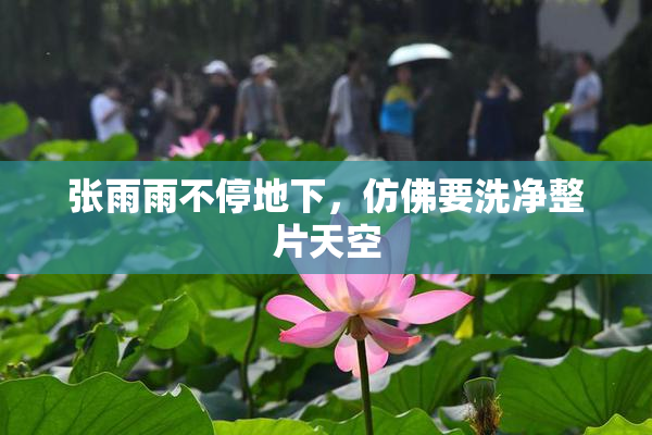 张雨雨不停地下，仿佛要洗净整片天空