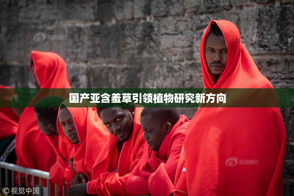国产亚含羞草引领植物研究新方向