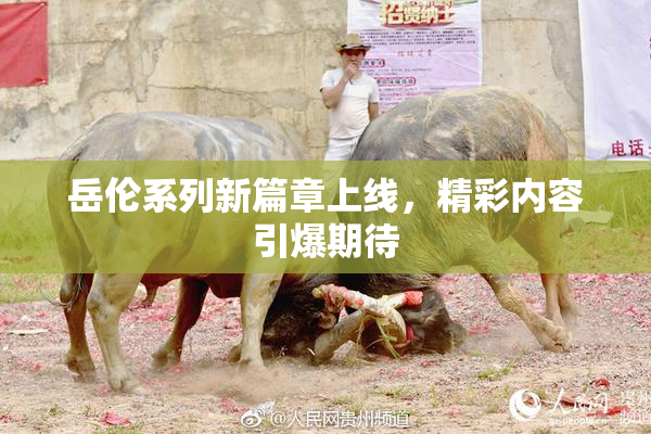 岳伦系列新篇章上线，精彩内容引爆期待