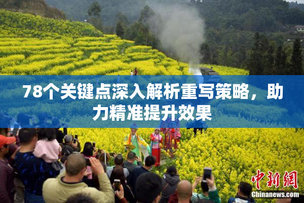 78个关键点深入解析重写策略，助力精准提升效果