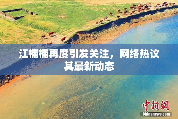 江楠楠再度引发关注，网络热议其最新动态
