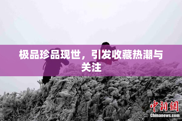 极品珍品现世，引发收藏热潮与关注