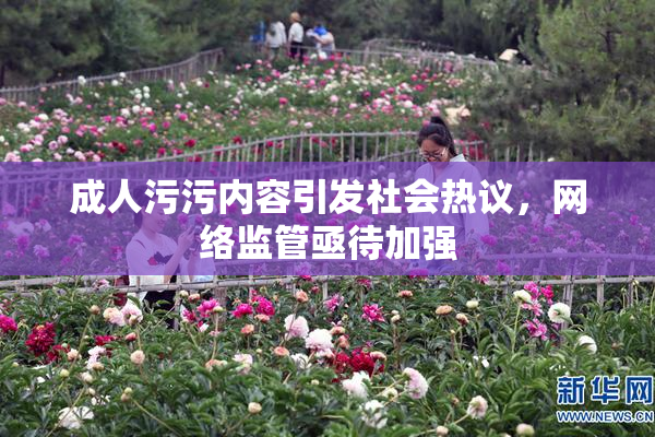 成人污污内容引发社会热议，网络监管亟待加强