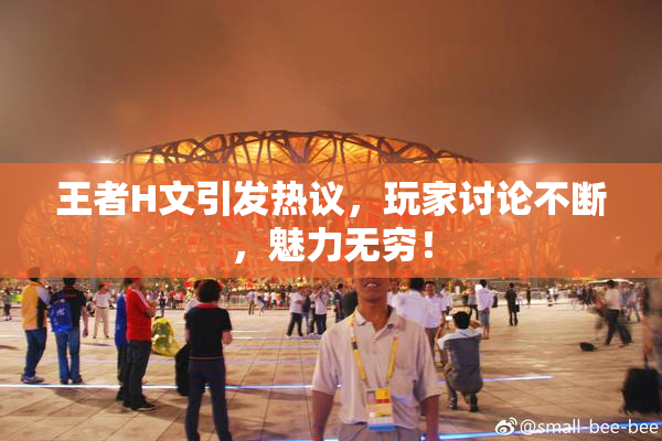 王者H文引发热议，玩家讨论不断，魅力无穷！
