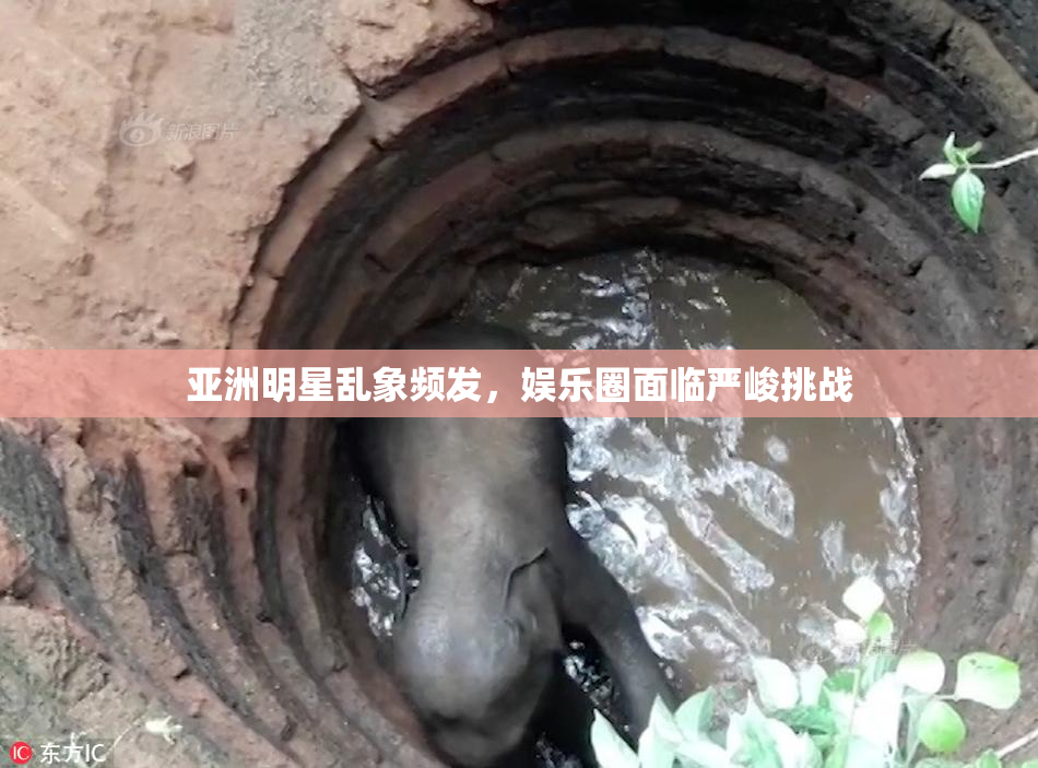 亚洲明星乱象频发，娱乐圈面临严峻挑战