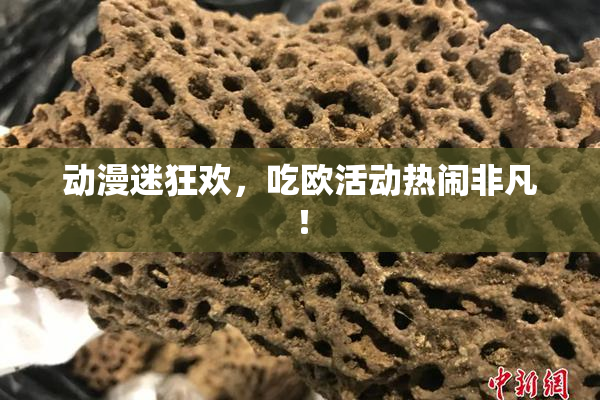 动漫迷狂欢，吃欧活动热闹非凡！