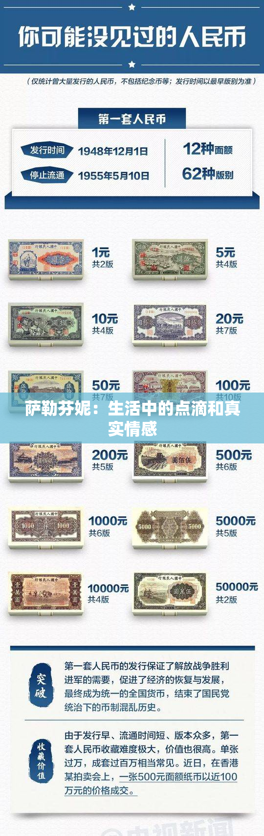 萨勒芬妮：生活中的点滴和真实情感