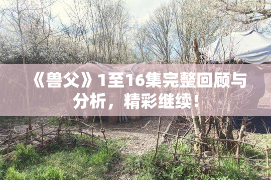 《兽父》1至16集完整回顾与分析，精彩继续！