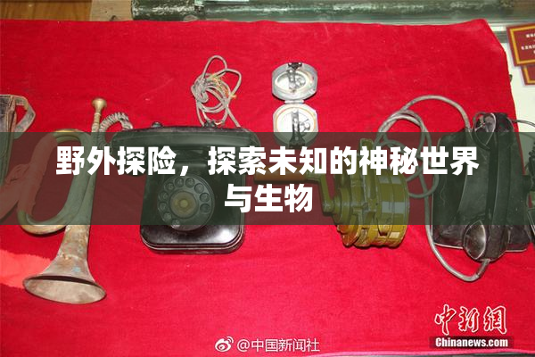 野外探险，探索未知的神秘世界与生物