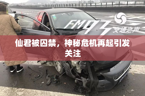 仙君被囚禁，神秘危机再起引发关注
