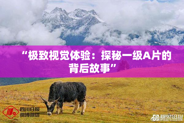 “极致视觉体验：探秘一级A片的背后故事”