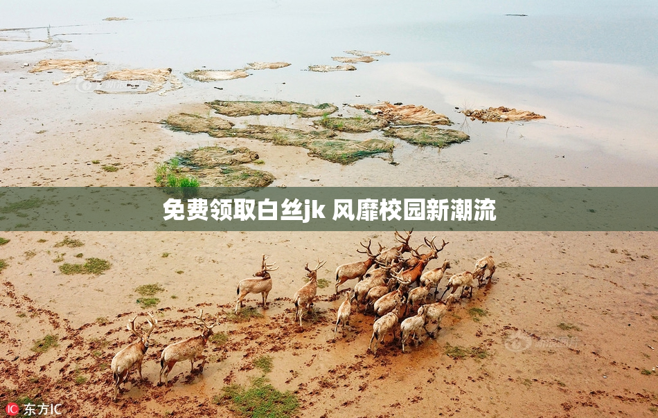 免费领取白丝jk 风靡校园新潮流