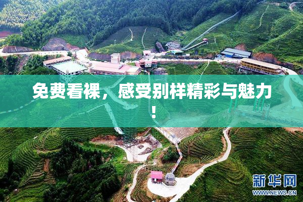 免费看裸，感受别样精彩与魅力！