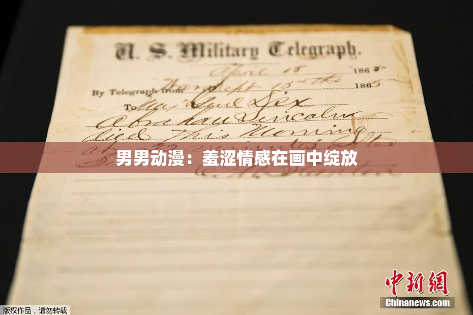 男男动漫：羞涩情感在画中绽放