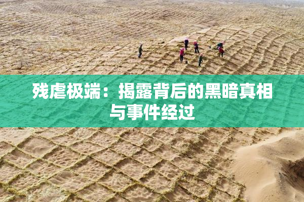 残虐极端：揭露背后的黑暗真相与事件经过
