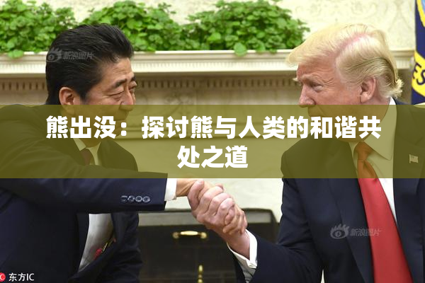 熊出没：探讨熊与人类的和谐共处之道