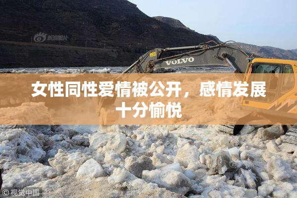 女性同性爱情被公开，感情发展十分愉悦