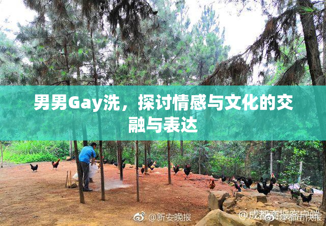 男男Gay洗，探讨情感与文化的交融与表达