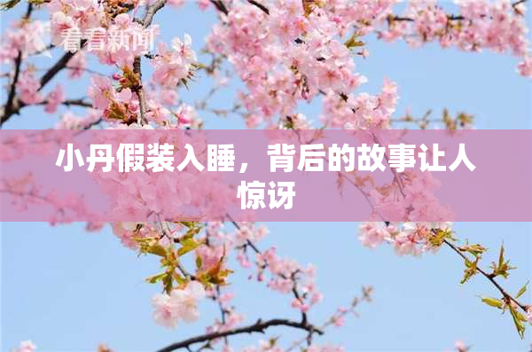 小丹假装入睡，背后的故事让人惊讶