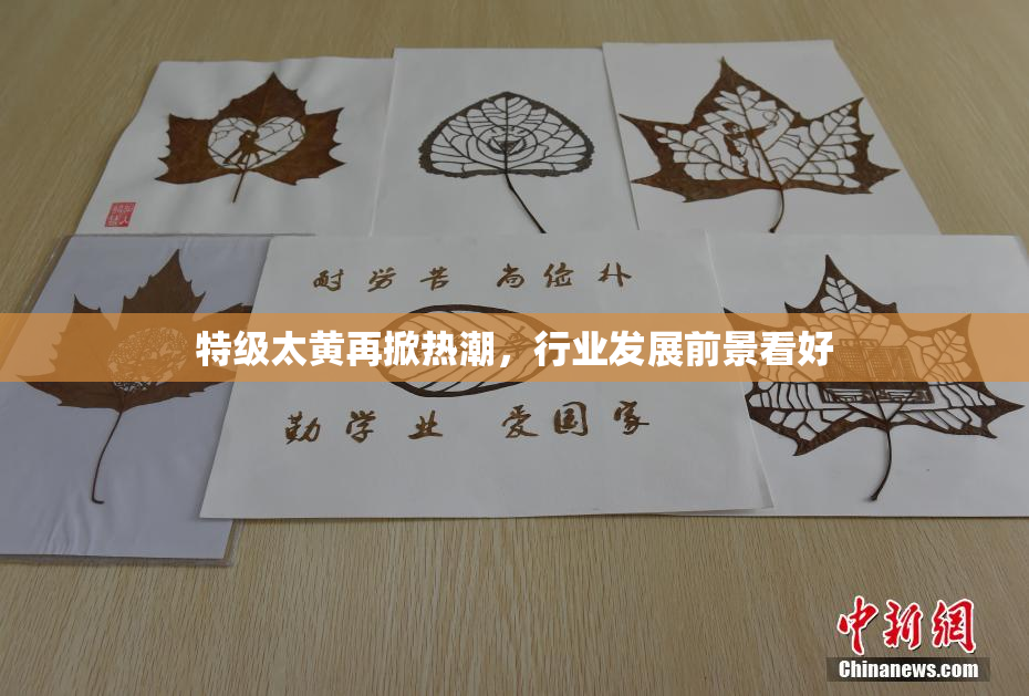 特级太黄再掀热潮，行业发展前景看好