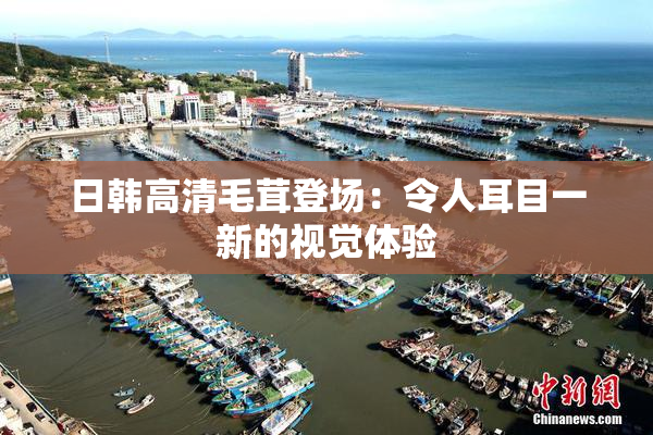 日韩高清毛茸登场：令人耳目一新的视觉体验