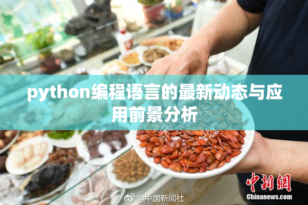 python编程语言的最新动态与应用前景分析