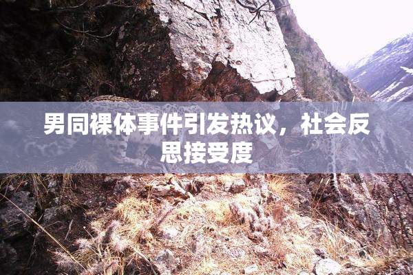 男同裸体事件引发热议，社会反思接受度