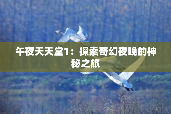午夜天天堂1：探索奇幻夜晚的神秘之旅