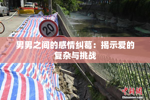 男男之间的感情纠葛：揭示爱的复杂与挑战