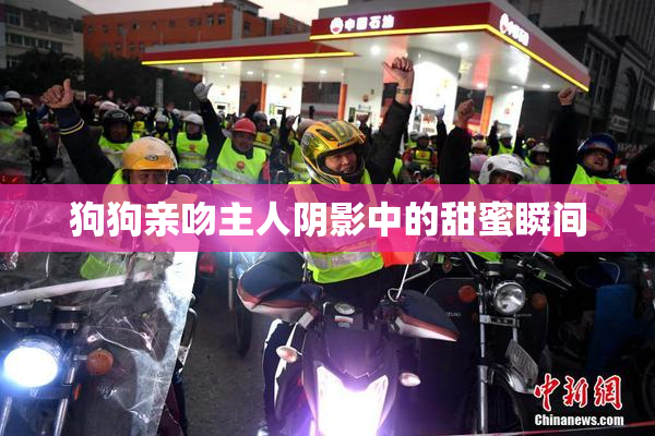 狗狗亲吻主人阴影中的甜蜜瞬间