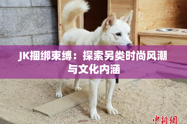 JK捆绑束缚：探索另类时尚风潮与文化内涵