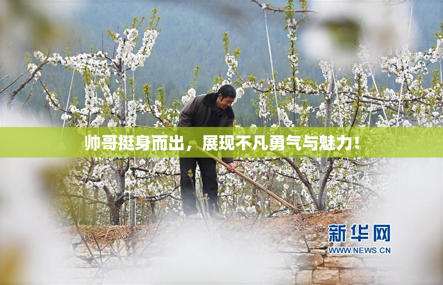 帅哥挺身而出，展现不凡勇气与魅力！