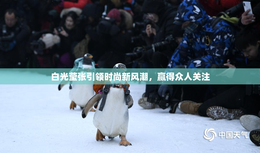 白光莹张引领时尚新风潮，赢得众人关注