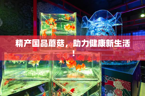 精产国品蘑菇，助力健康新生活！