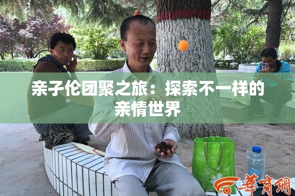 亲孑伦团聚之旅：探索不一样的亲情世界
