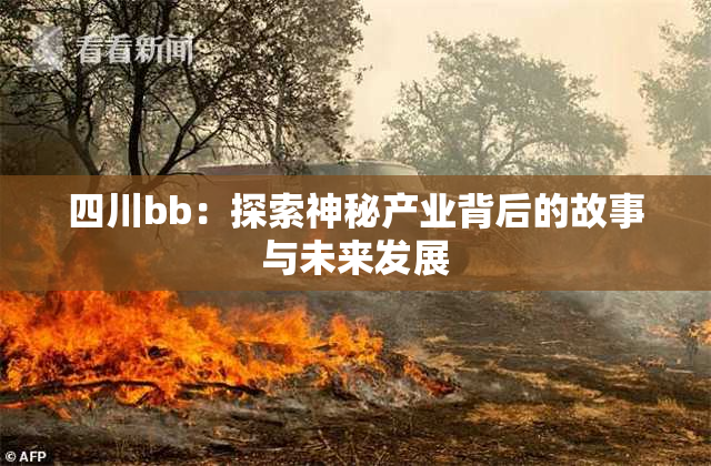 四川bb：探索神秘产业背后的故事与未来发展