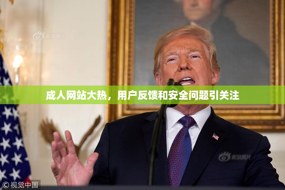 成人网站大热，用户反馈和安全问题引关注