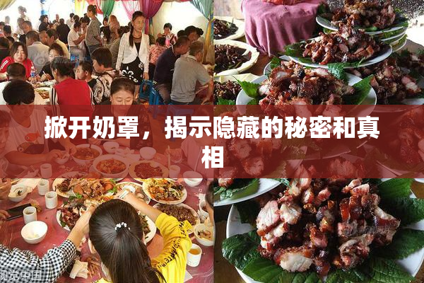 掀开奶罩，揭示隐藏的秘密和真相