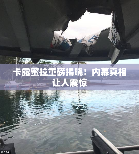 卡露蜜拉重磅揭晓！内幕真相让人震惊