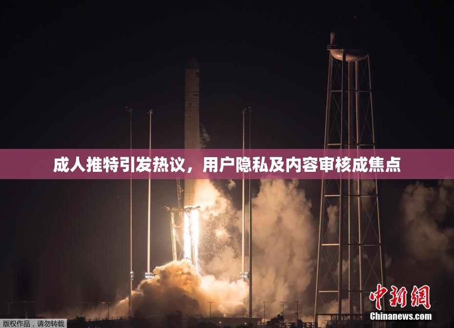 成人推特引发热议，用户隐私及内容审核成焦点