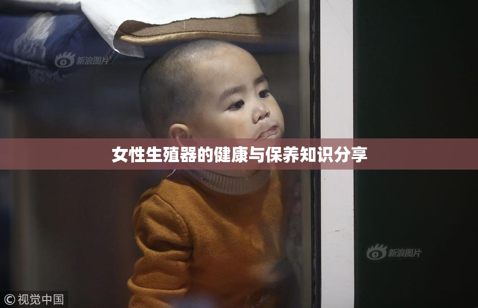女性生殖器的健康与保养知识分享