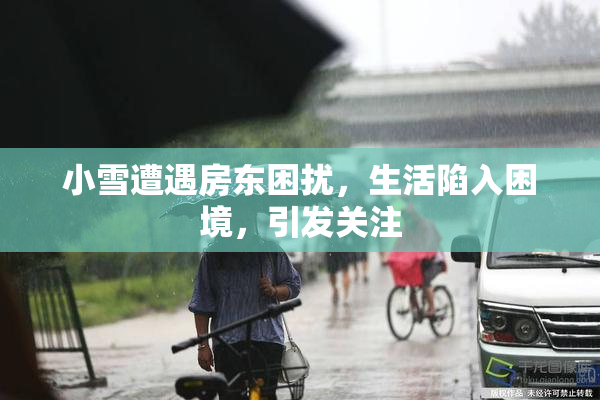 小雪遭遇房东困扰，生活陷入困境，引发关注