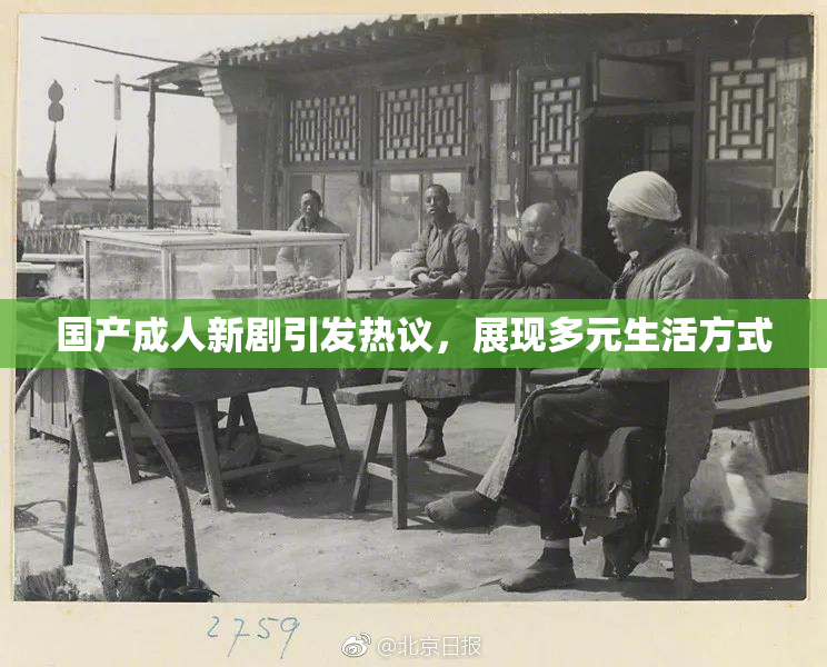 国产成人新剧引发热议，展现多元生活方式