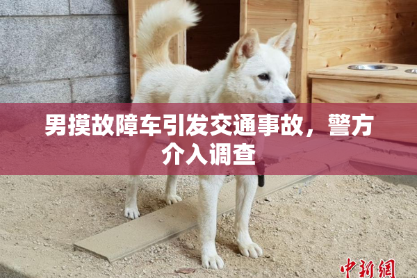 男摸故障车引发交通事故，警方介入调查