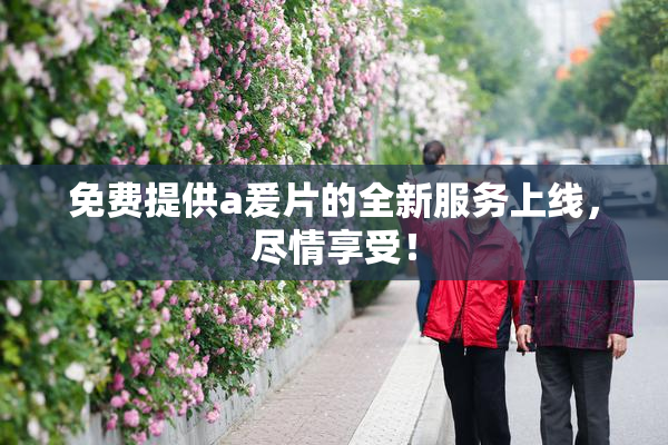 免费提供a爰片的全新服务上线，尽情享受！