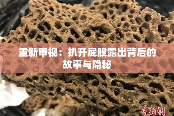 重新审视：扒开屁股露出背后的故事与隐秘