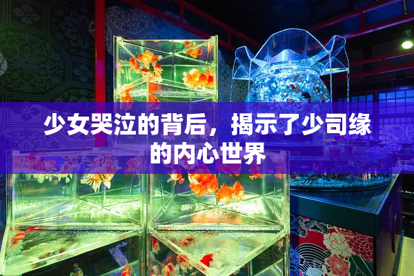 少女哭泣的背后，揭示了少司缘的内心世界
