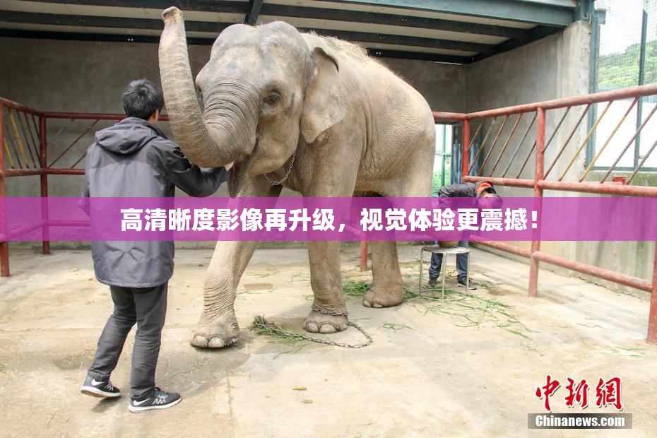 高清晰度影像再升级，视觉体验更震撼！