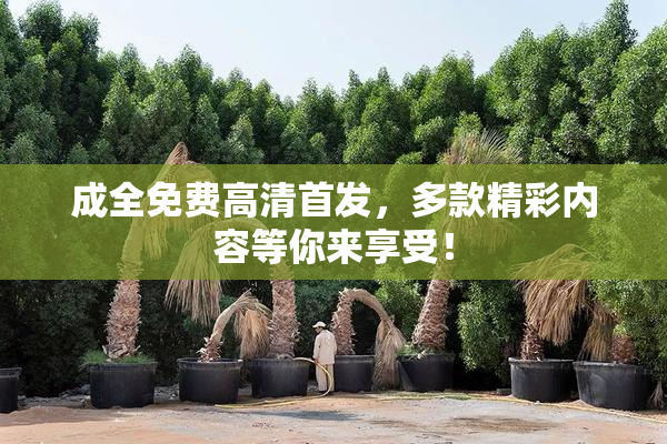 成全免费高清首发，多款精彩内容等你来享受！