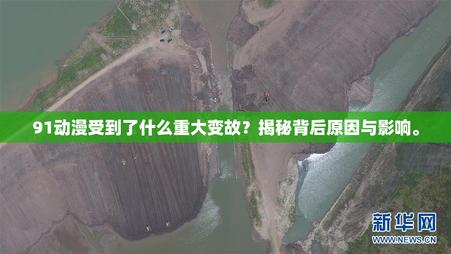 91动漫受到了什么重大变故？揭秘背后原因与影响。